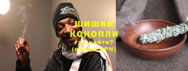 прущие грибы Новозыбков