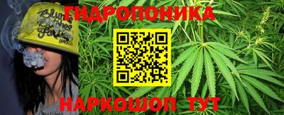 ПСИЛОЦИБИНОВЫЕ ГРИБЫ Бузулук