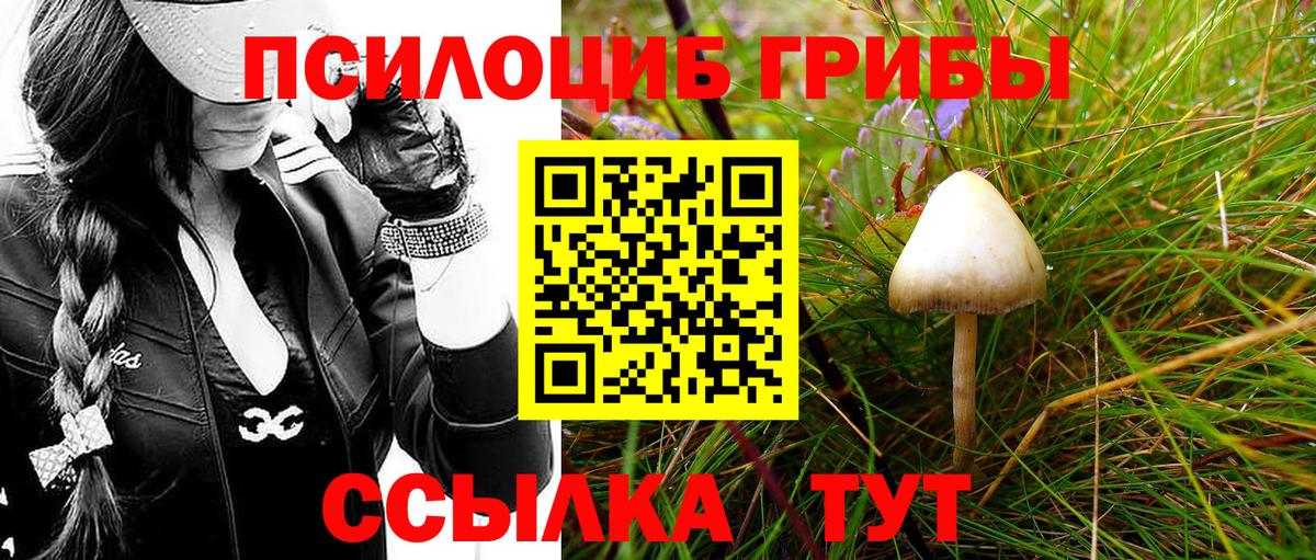 Псилоцибиновые грибы прущие грибы Ейск