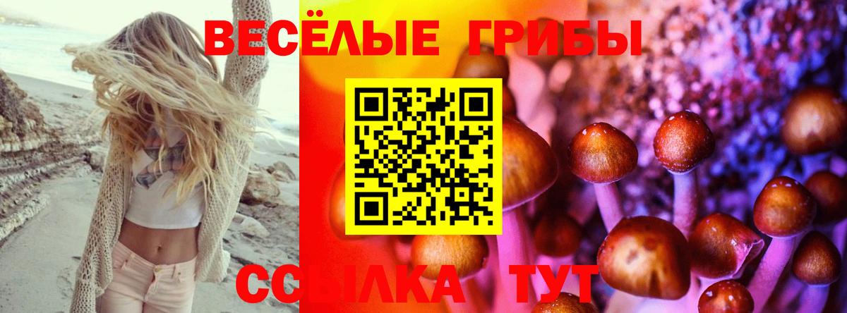 Ейск  Галлюциногенные грибы Psilocybine cubensis  Вход с VPN 
