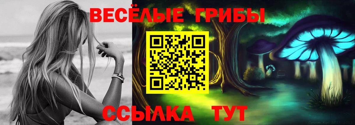 где найти   Ейск  Галлюциногенные грибы MAGIC MUSHROOMS  Псилоцибиновые грибы ЛСД 